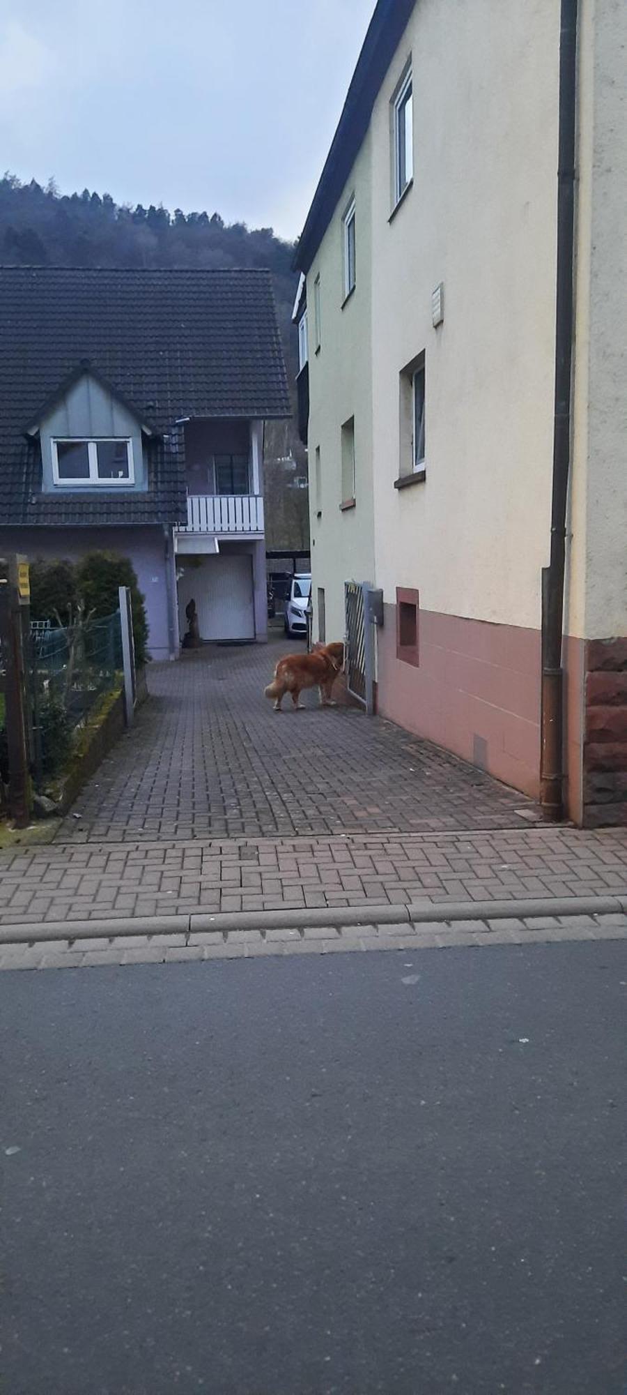 Willa Main Zu Hause Eichenbuhl  Zewnętrze zdjęcie